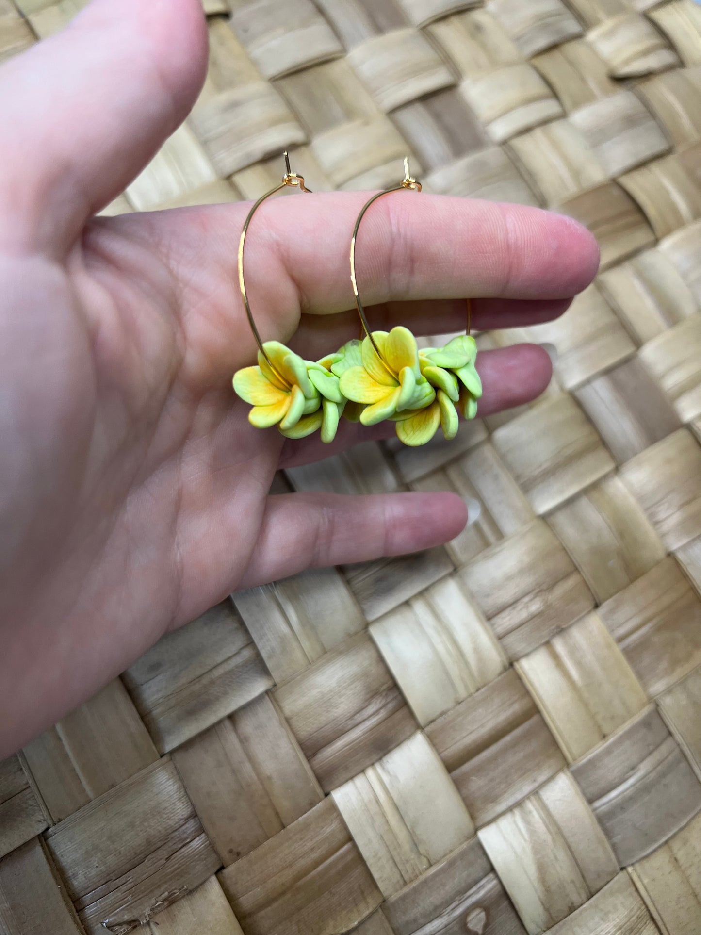 Pakalana Hoop