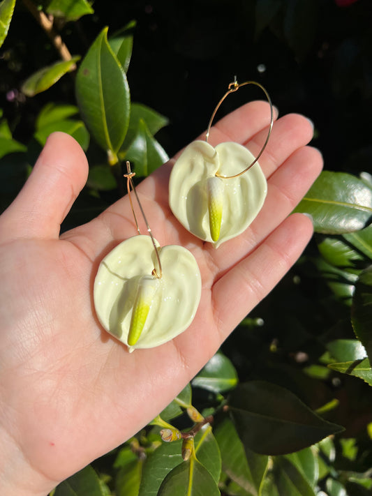 Anthurium Hoop Mint