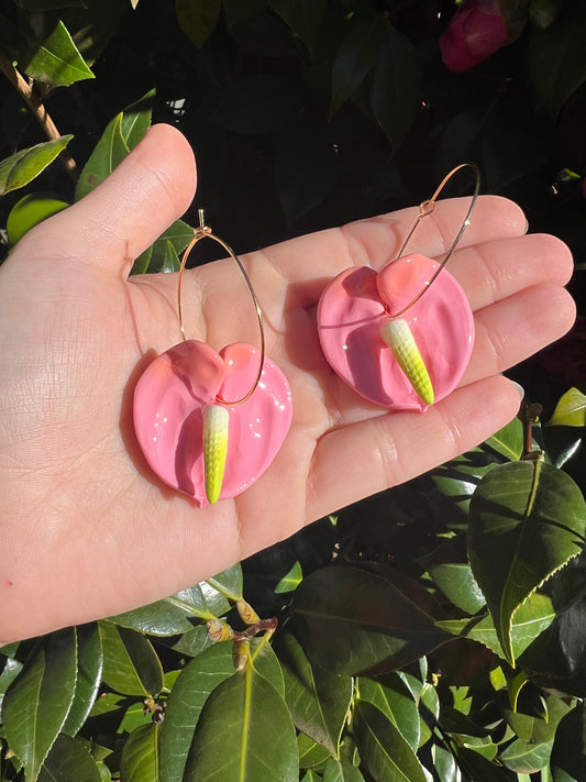 Anthurium Hoop Bubblegum