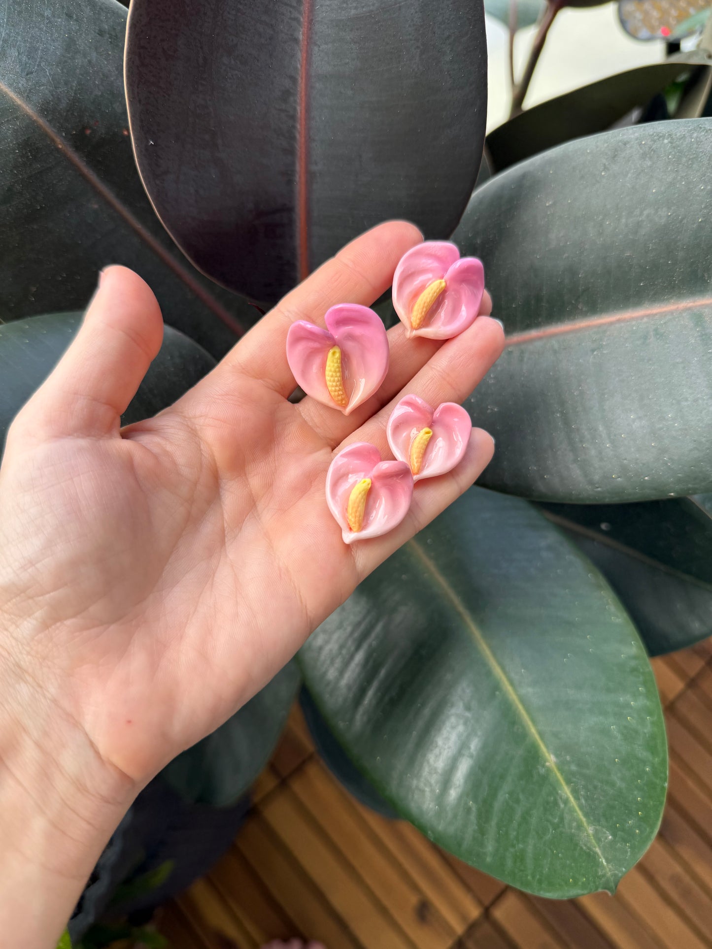 Clip On Earrings