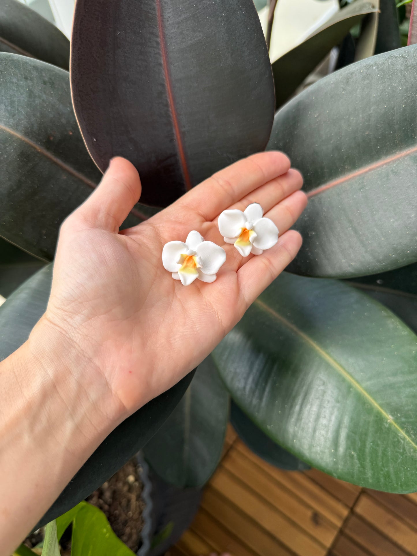 Clip On Earrings