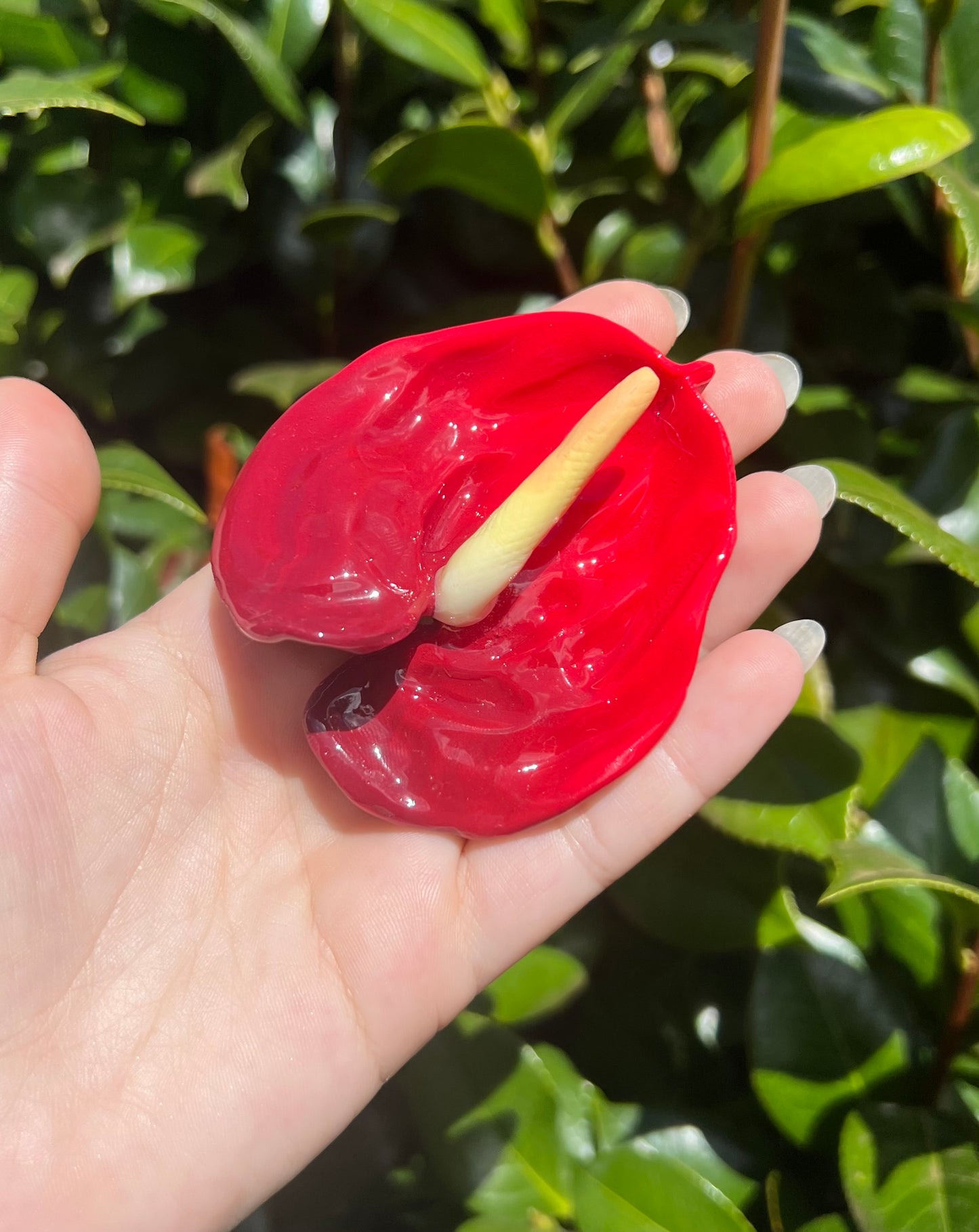 Anthurium Hair Clips