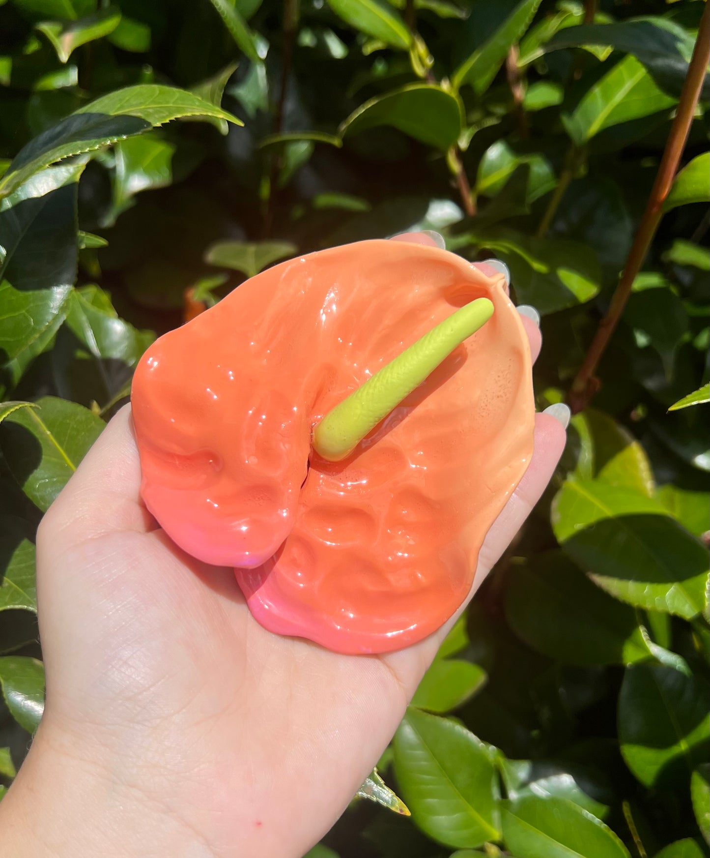 Anthurium Hair Clips