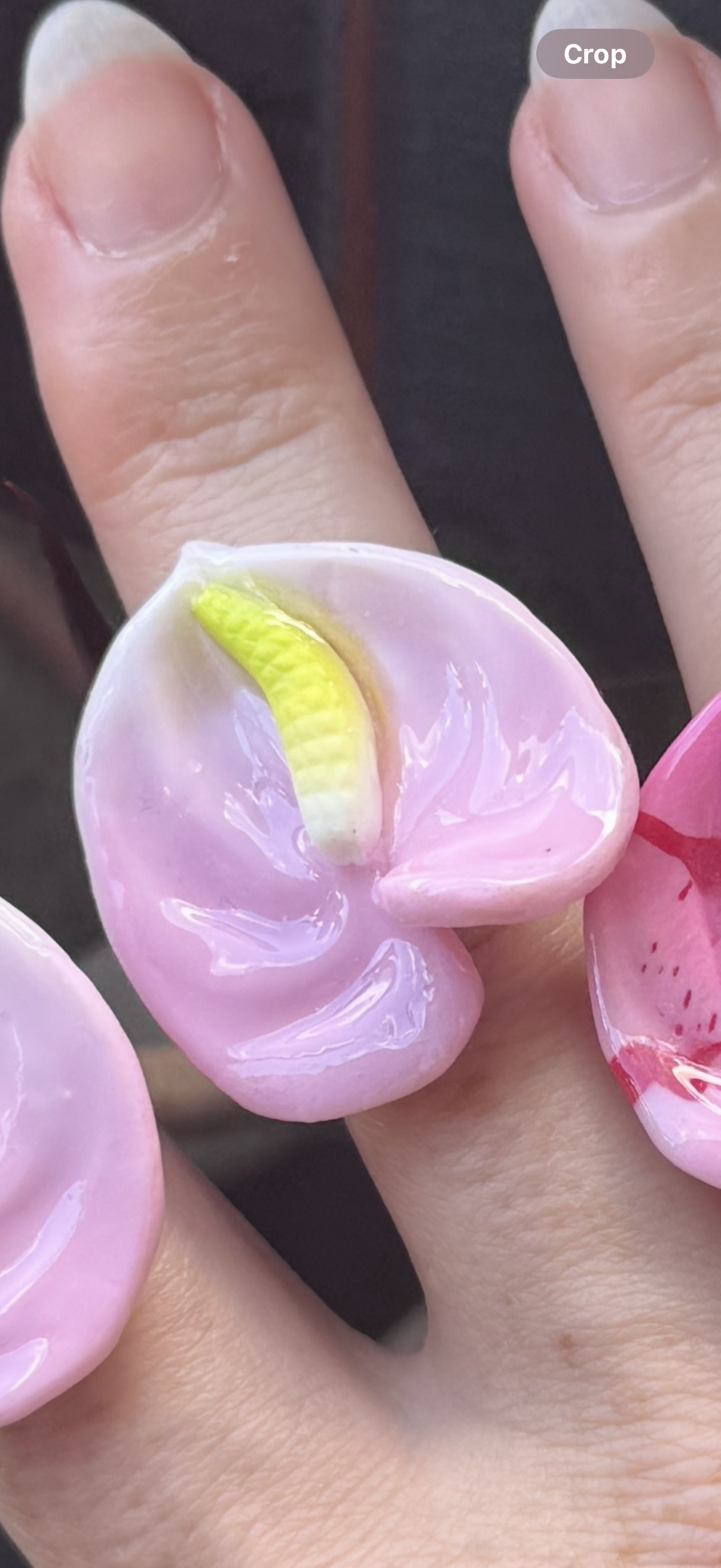 Anthurium Rings