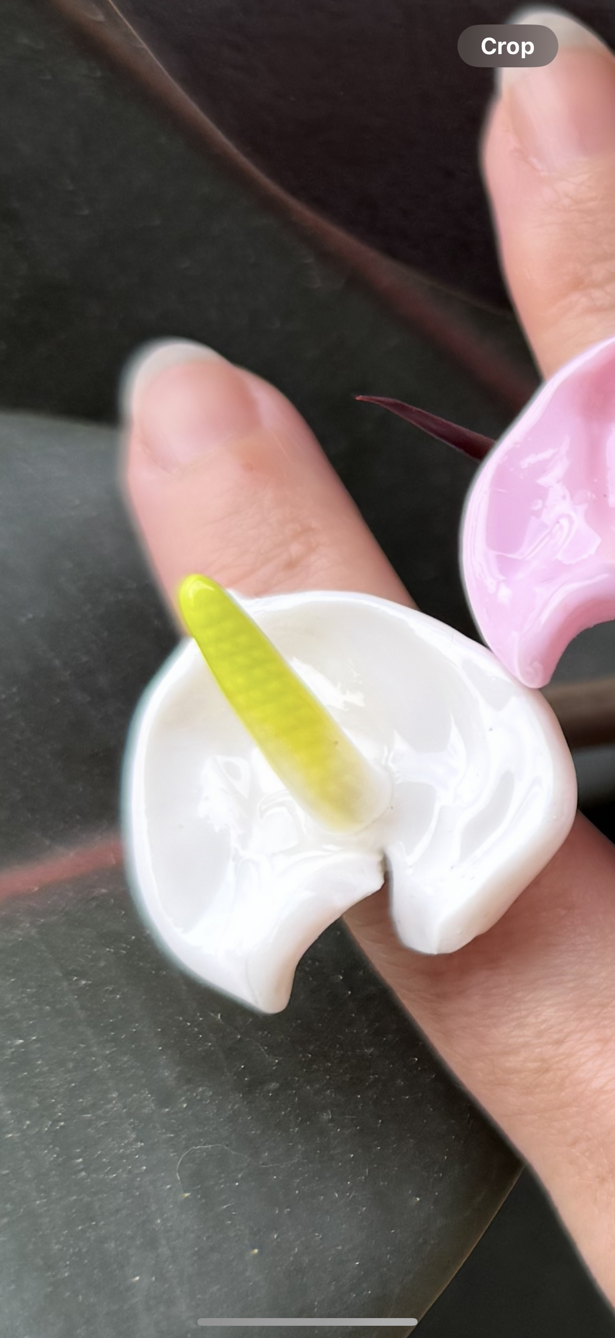 Anthurium Rings