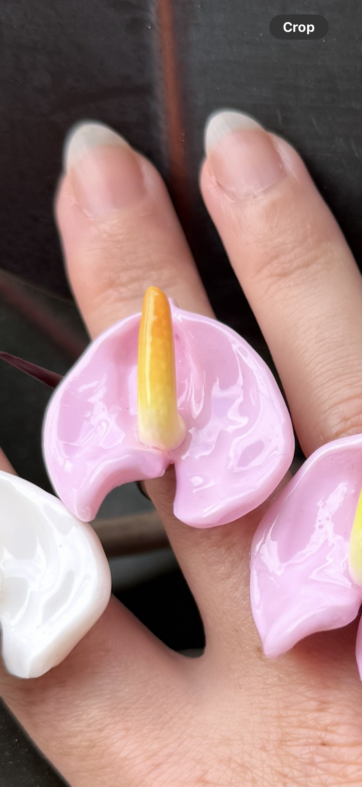 Anthurium Rings