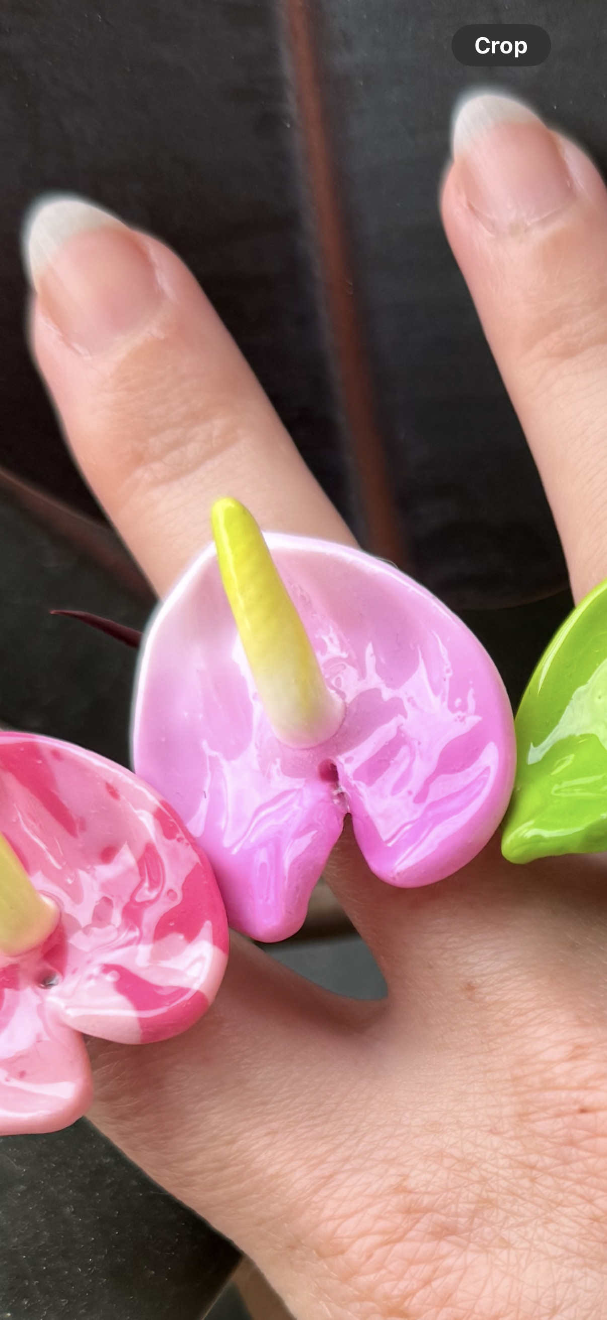 Anthurium Rings