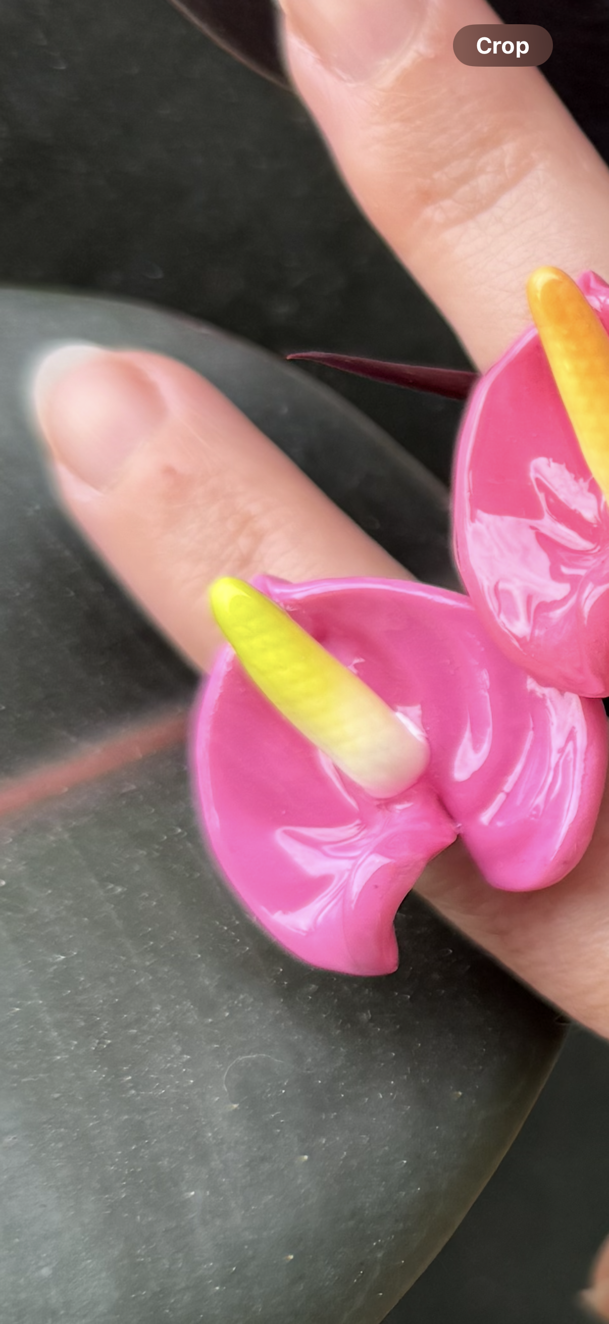 Anthurium Rings