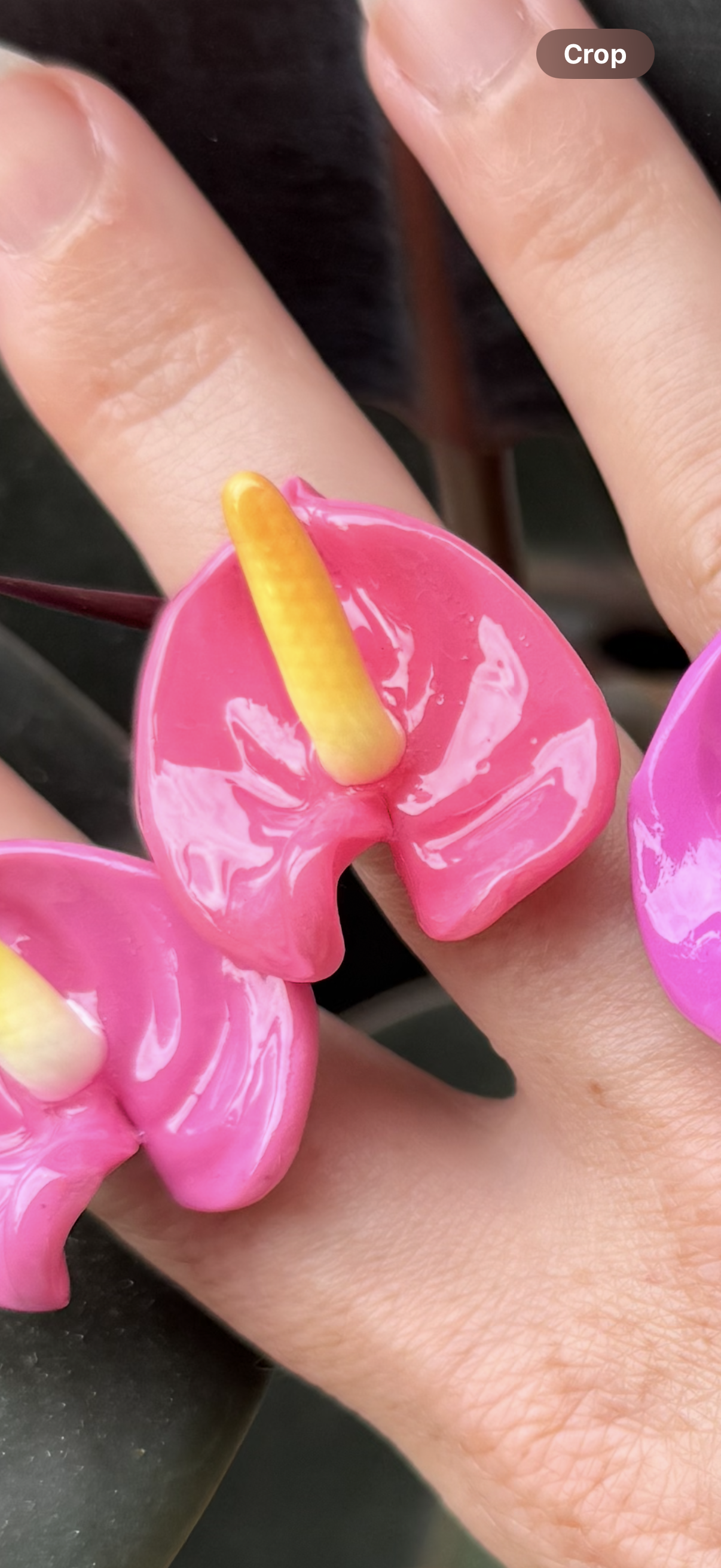 Anthurium Rings